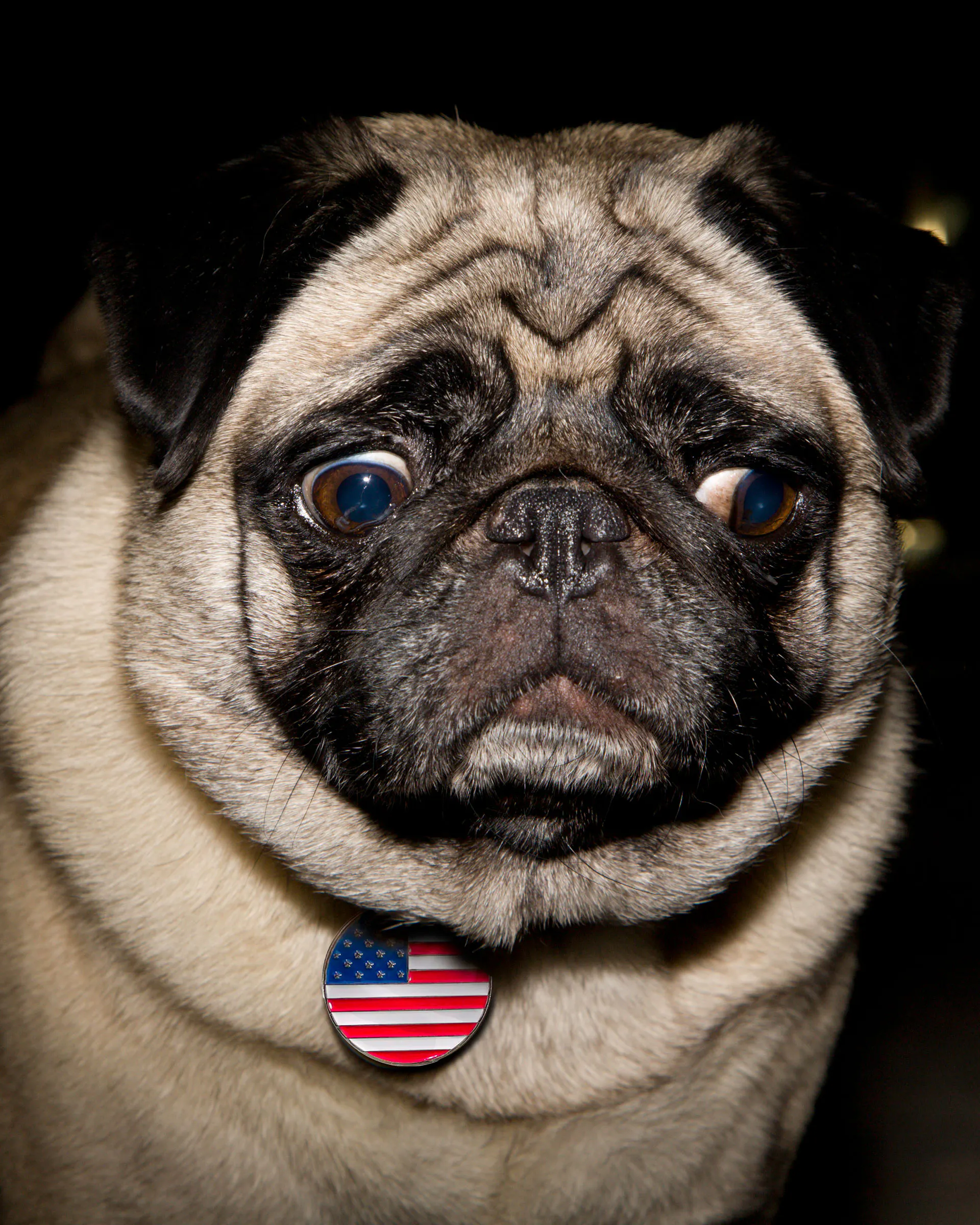 Was will eigentlich Amerika? Donald Trumps Entscheidungen wirken oft nicht logisch oder vernünftig. Wie kommen sie zustande?