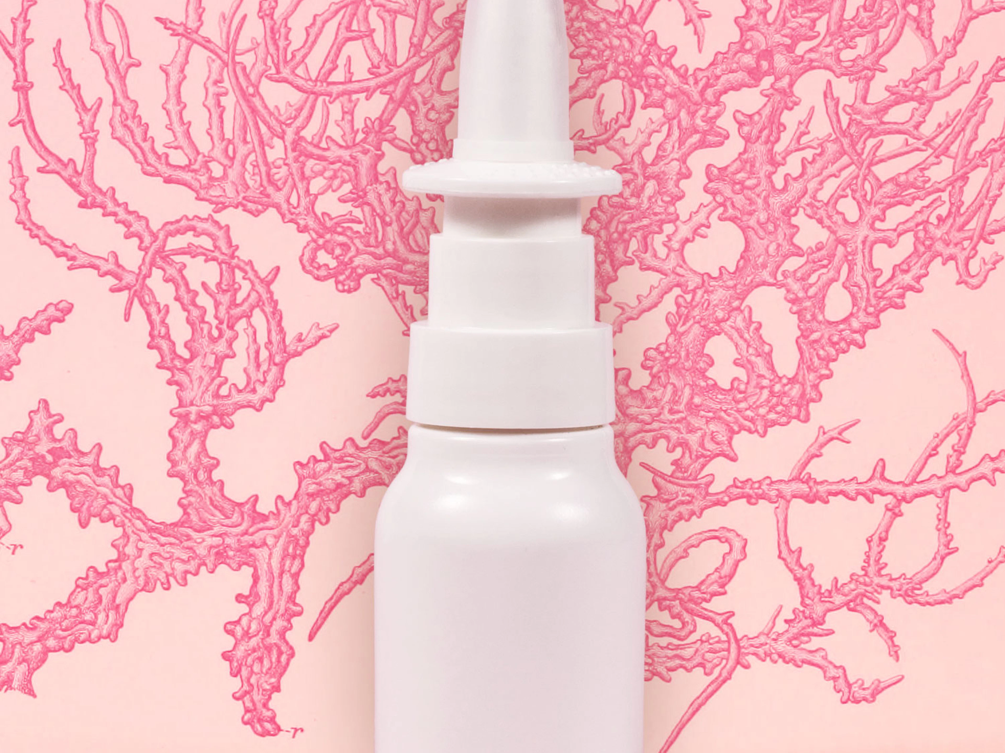 Luftschutz aus dem Wasser Kann uns ein Nasenspray aus Korneuburg vor Viruserkrankungen schützen?