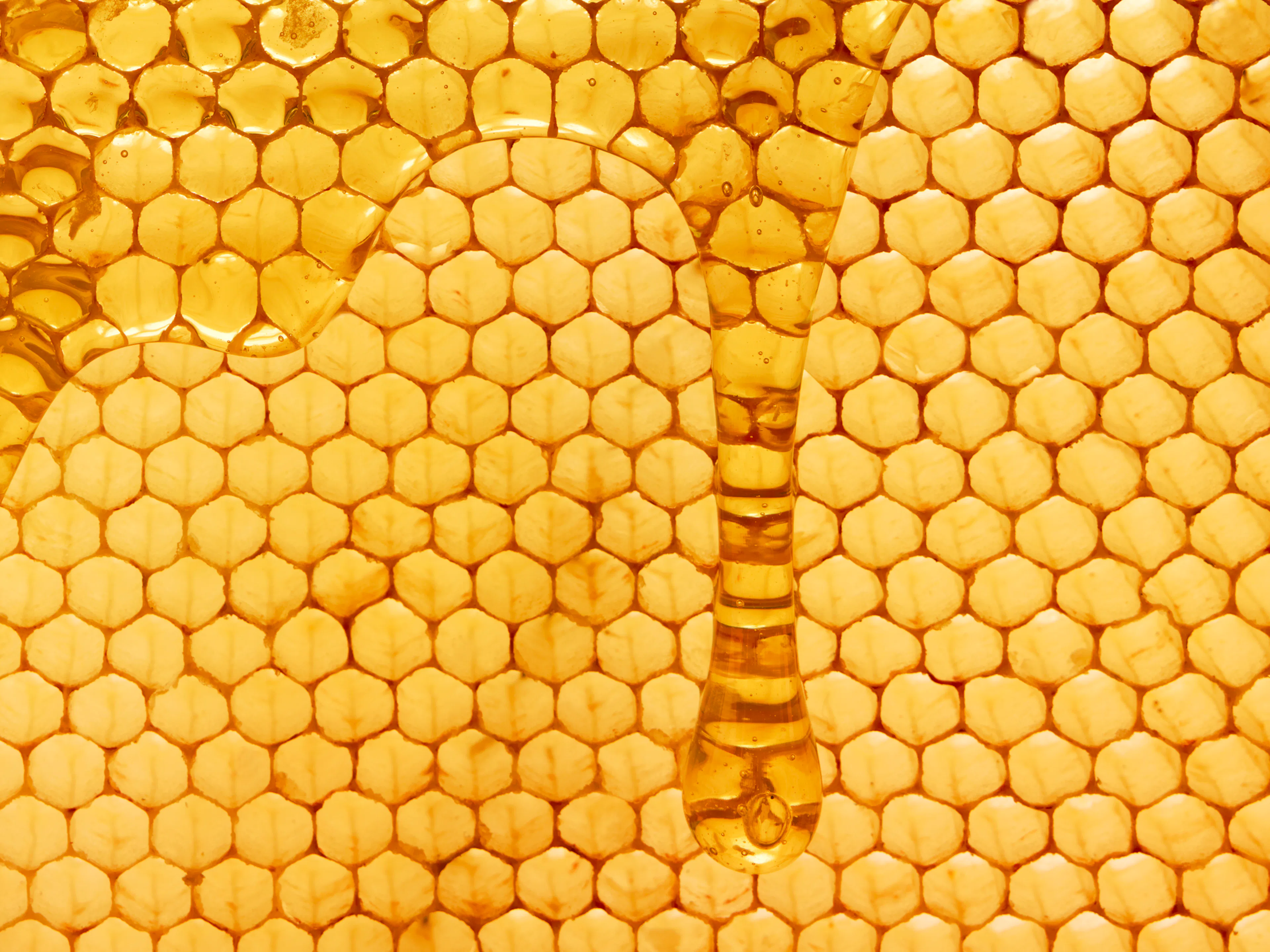 Falscher Honig, echter Schaden Gepanschte Ware, billige Importe, Klimakrise: Wie lässt sich heimischer Honig noch verkaufen?